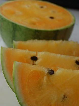 Qualtivate RES-7A Orange Watermelon(Citrullus Lanatus) High Alkaline Seed