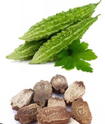 ATIKNAM Utcha Seed