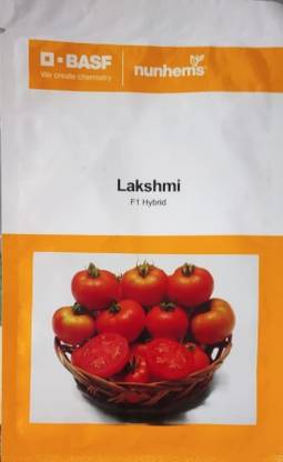 nunhems Tomato, Laxmi (5005) -3000 seeds Seed