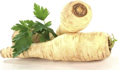 VibeX GBPUT-10 - Parsley Sugar Root - (250 Seeds) Seed