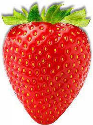 XOLDAA XOLDAA F1quality hybrid strawberry seeds Seed