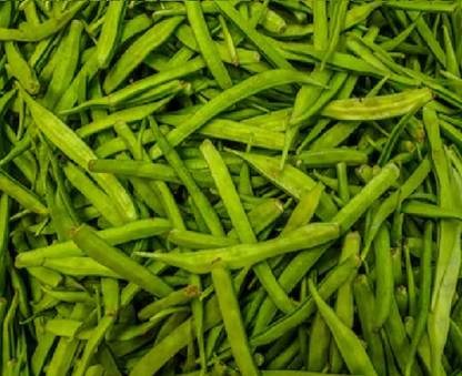 WATIKA Cluster Beans (देसी गावरान गवार ) Seed
