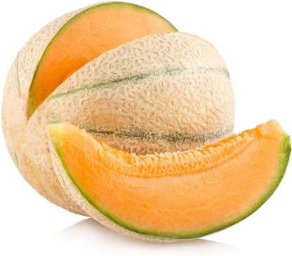 WILLVINE PAU-250 "Delicious 51" Cantaloupe Musk Melon Seeds Seed