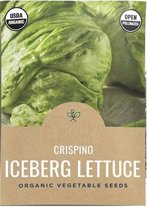 VibeX ® VXI-222 Crispino Iceberg Lettuce Seed