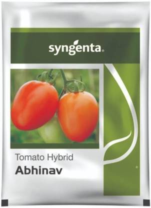 syngenta Syngenta ABHINAV TOMATO, TOMATO SEED Seed