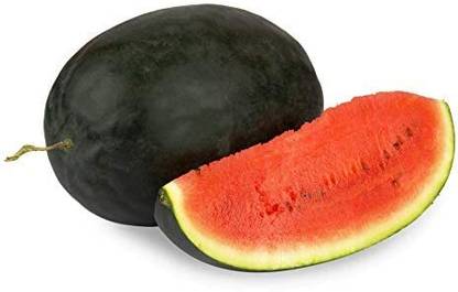 SRKR AGRO Premium Watermelon Seeds for Fresh, Juicy Fruits – 90% Germination Rate Seed