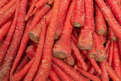 KANAYA Gajar Hybrid Vegetable Seed