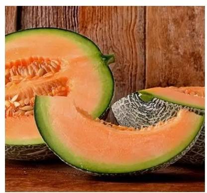 Avysa Musk Melon/ Cantaloupe/ Hami melon Seed