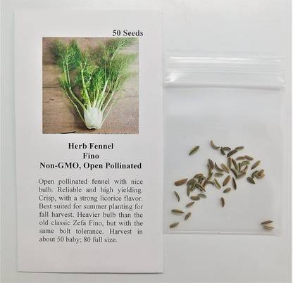VibeX XLL-1 - Fennel Fino - (750 Seeds) Seed