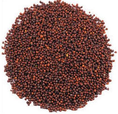 VINAYAK HERBALS RED MUSTARD SEEDS 500 GM Seed
