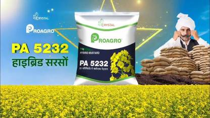 musterd PA 5232 Seed