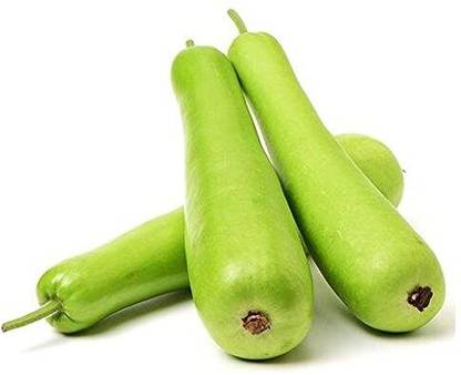 golden hills farm High Yield Long Giant Rare Bottle Gourd Lauki/Lau/Clabash Seed