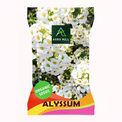 AGRO MILL ALYSSUM/SWEET ALYSSUM/SWEET ALISON FLOWER Seed