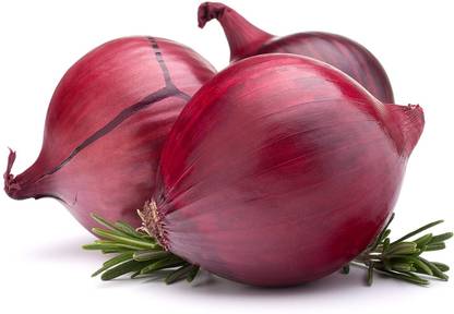 WILLVINE NKR -VII Giant Onion Seeds English [5g] Seed