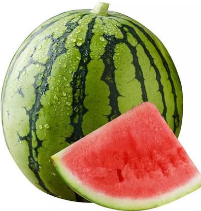 CEZIUS Summer Fruit Water Melon Tropical Fruit Watermelon/तरबूज के बीज Seed