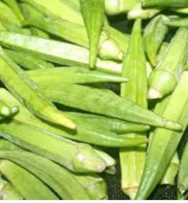 greenfarm NXC- Long Okra Seeds / Ladyfinger Seeds/ 220 X Seeds , hdf112 Seed