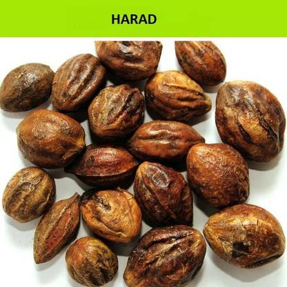 EasySeeds Hamrad,Desert Date,Sahiri Khajur,Harar,Harra,Haritaki,Karedha , Katukka Seed