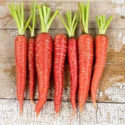 Aywal Non-GMO Carrot Seeds For Vegetable Garden Seed