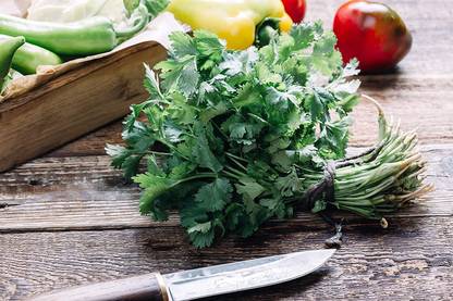 VibeX VXI-2 - Mexican Specialty Cilantro - (250 Seeds) Seed