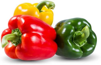 VASUDHA Organic Capsicum/Bell Pepper (Mixed) Seed