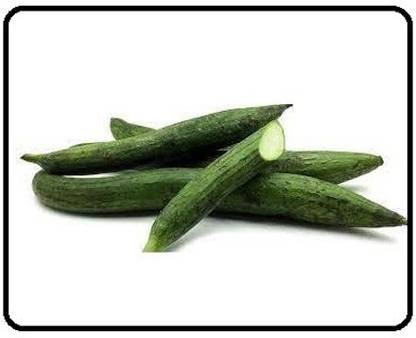 VibeX HUA-31 - Sponge Gourd (Torai) Vegetable - (900 Seeds) Seed