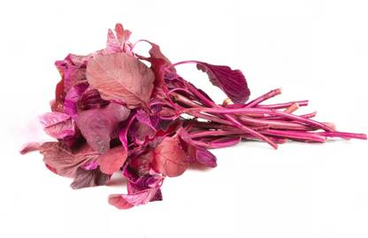DHENU PRASAD 1457 F1 Hybrid Red Amaranthus / Red Spinach / Lal Saag / tandaljo / cheera Seed