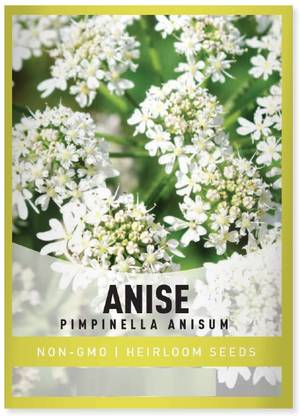 Biosnyg Anise Pimpinella Anisum Seed
