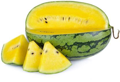 WILLVINE Farm Yellow Watermelon Flash F1 Hybrid Seeds-[125 Seeds] Seed