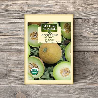 WILLVINE NDIR-341 Organic Arava F-1 Galia Musk Melon Seed