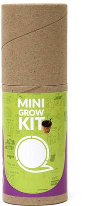 VibeX Capsicum - Seed Starter Grow Kit Seed