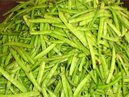 CHILLATAI Guar Phali / Gawar / Cluster Beans Seed