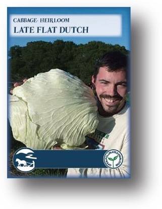 Biosnyg Late Flat Dutch Cabbage-[250 Seeds] Seed