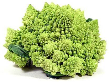 VibeX ® VLR-768 Italian Romanesco Natalino Broccoli Seeds Seed