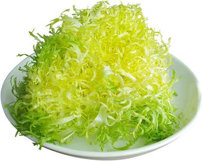 CYBEXIS Organic Frisee lettuce endive seeds1000 Seeds Seed