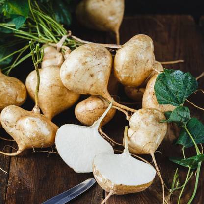 GreenHorizon Yam Bean / Jicama / sak aloo / saag aloo / sag alu Seed