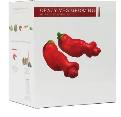 CYBEXIS Crazy Veg Growing Kit Seed