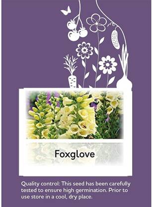 CYBEXIS Foxglove Flower Seeds200 Seeds Seed