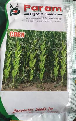 HYBRID 1kg, Hybrid Pioneer sigment corn seeds maize seeds highest yield Verity Seed