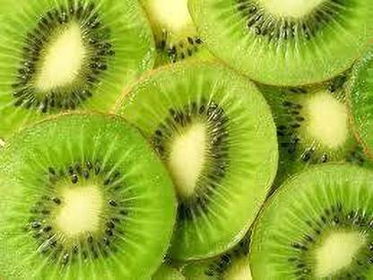 XOLDAA best quality kiwi fruit seeds Seed