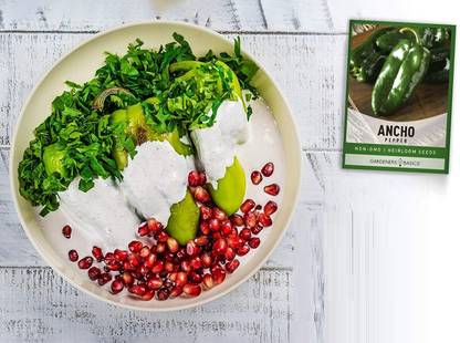 Biosnyg Ancho Poblano Pepper Chilli-[250 Seeds] Seed