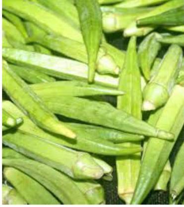 greenfarm NXC- Long Okra Seeds/ LadyFinger Seeds/ 150 X Seeds ,nkk71 Seed