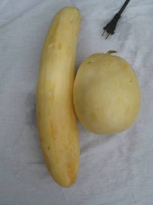 UGRA Snap Melon Momordica / Phoota Seed