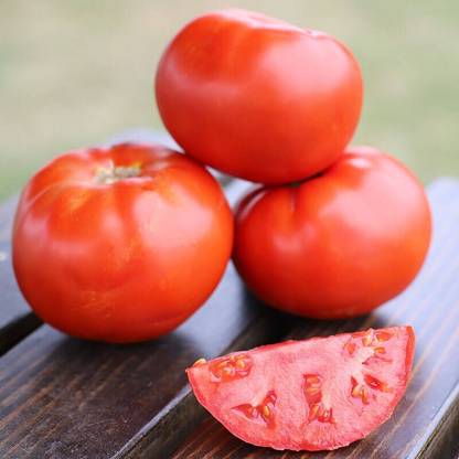 Quentova Tomato Red Deuce Seed