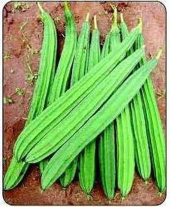 Aywal Organic Desi Chikni Turai Seed