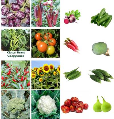 Nio Native Vegetable seeds, Combo pack of 16 Seed