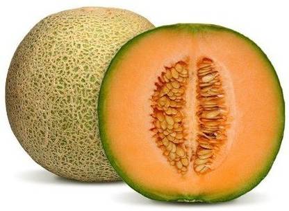 CYBEXIS HUA-99 - MUSKMELON F-1 HYBRID US-111 - (1350 Seeds) Seed