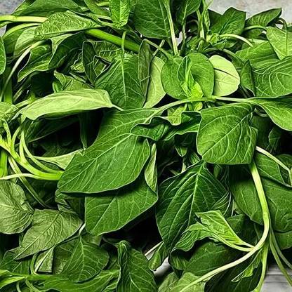 Aywal Cholai Saag Seed
