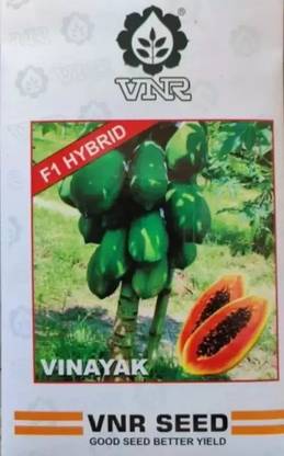 VNR PAPAYA Seed