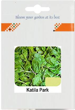 CYBEXIS Katila Palak2800 Seeds Seed