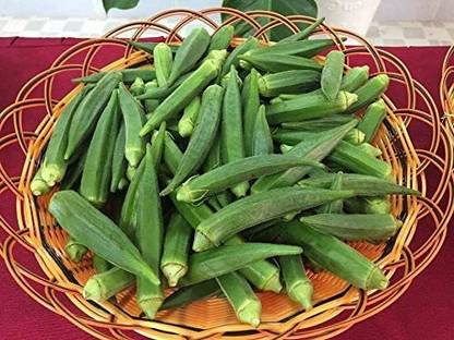 Biosnyg ™ICAR-18 Okra Emerald Non GMO Seed